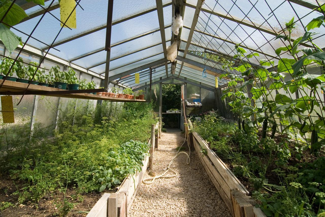 Hayingen Biohotel-Restaurant Rose מראה חיצוני תמונה